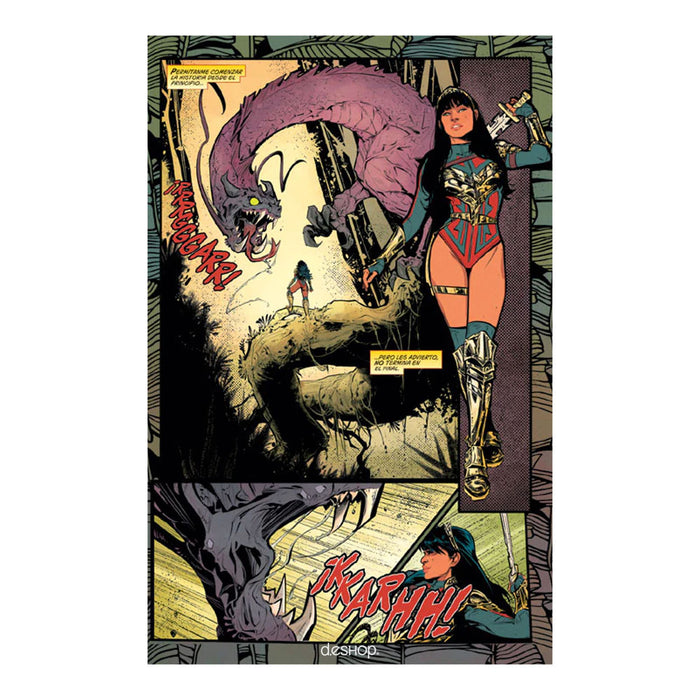 DC Universe Comics : Wonder Woman - Future State